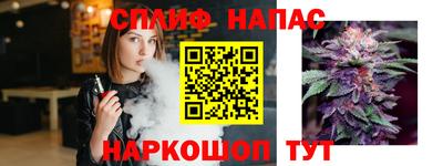 амф Славгород