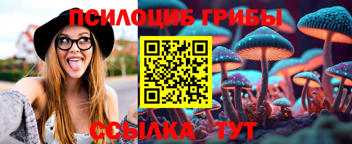 наркошоп  Вход с VPN  Нижнекамск  Галлюциногенные грибы Cubensis 
